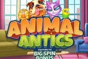 Animal Antics