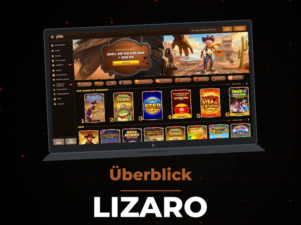 lizaro - Überblick