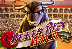 Bulls Run Wild